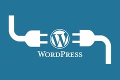 Hướng dẫn cách cài đặt WordPress dễ dàng nhất cho người mới bắt đầu