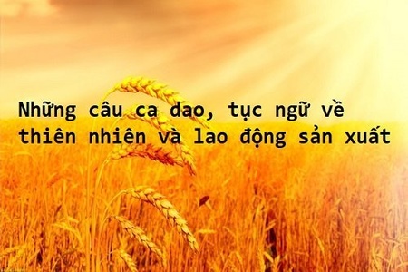 Top những câu tục ngữ hay về thiên nhiên và lao động sản xuất