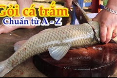 Cách làm gỏi cá: Hướng dẫn cụ thể và chi tiết