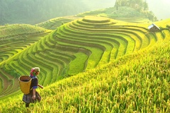 Top 10 địa điểm du lịch nổi tiếng ở Việt Nam