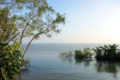 Khám phá khu du lịch sinh thái hồ bể: Nơi hòa mình vào thiên nhiên