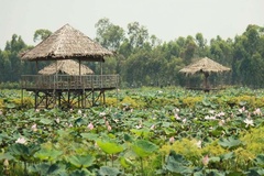 Khám phá Khu du lịch Đồng Sen Tháp Mười: Thiên đường văn hóa và nghệ thuật.