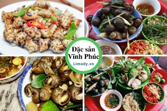 Khám phá đặc sản Vĩnh Phúc: Những món ăn tuyệt vời từ đất trồng và nuôi