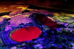 Khám phá Omai - Một điểm đến độc đáo với văn hóa và ẩm thực đa dạng