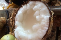 Đặc sản dừa sáp: Tinh hoa từ tỉnh nào?