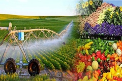 Đặc điểm của sản xuất nông nghiệp: Nguồn cấp nước, công nghệ & sự phát triển