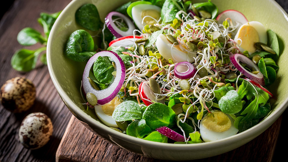 Trưa nay ăn gì: salad rau mầm giữ dáng - Sài Gòn Tiếp Thị