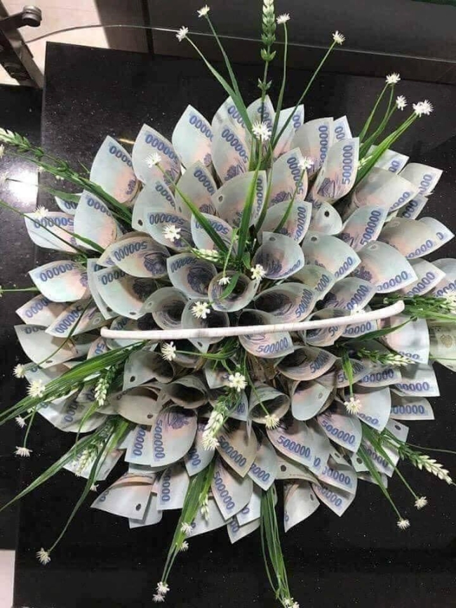 Chia sẻ với hơn 75 hình ảnh hoa tiền tuyệt vời nhất - thtantai2.edu.vn