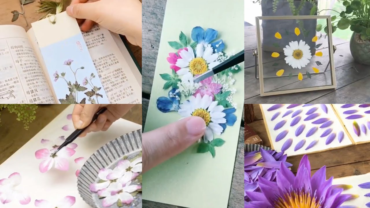 Hướng dẫn các bước cơ bản làm hoa ép khô trang trí bookmark, vở,...đơn ...