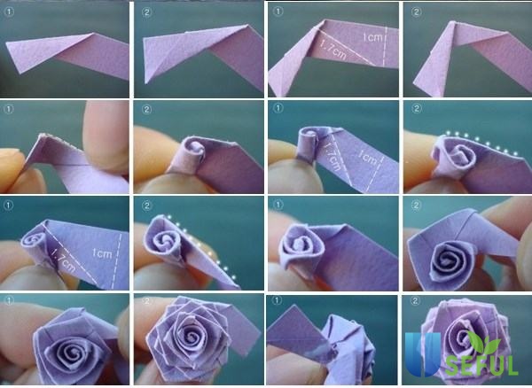6 Cách làm hoa giấy tặng thầy cô 20/11 độc đáo sáng tạo đẹp lạ - biri.vn