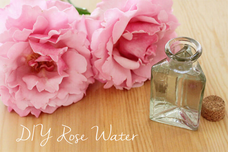 Cách làm nước hoa hồng tại nhà tinh khiết cực đơn giản - XanhDA