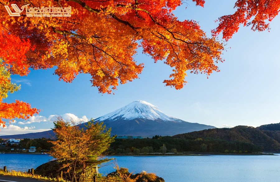Giá tour du lịch Nhật Bản mùa thu?