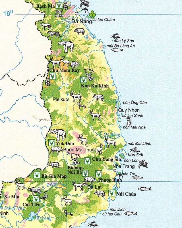 Địa điểm du lịch Tây Nguyên nào đẹp nhất