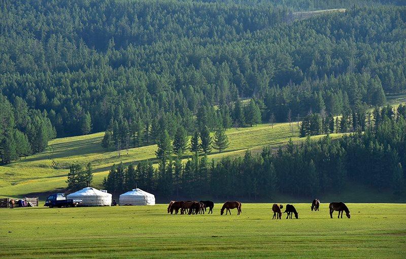 Cẩm nang du lịch Mông Cổ từ A đến Z | VIETRAVEL