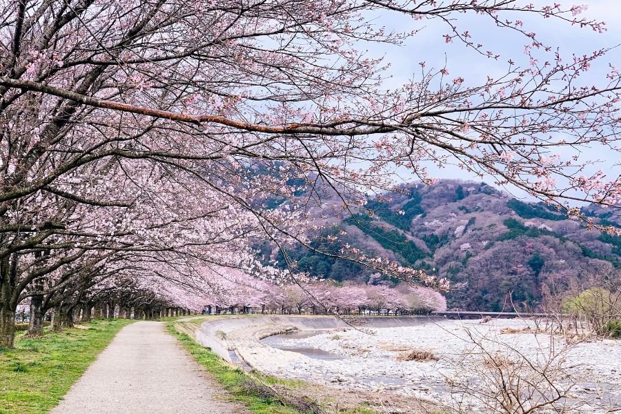 Tổng hợp kinh nghiệm du lịch Nhật Bản tự túc cho người lần đầu