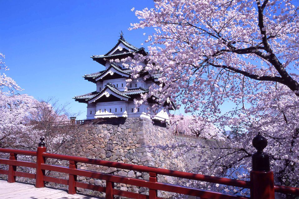 Mẹo xin visa du lịch Nhật Bản tự túc 2023 - iVIVU.com