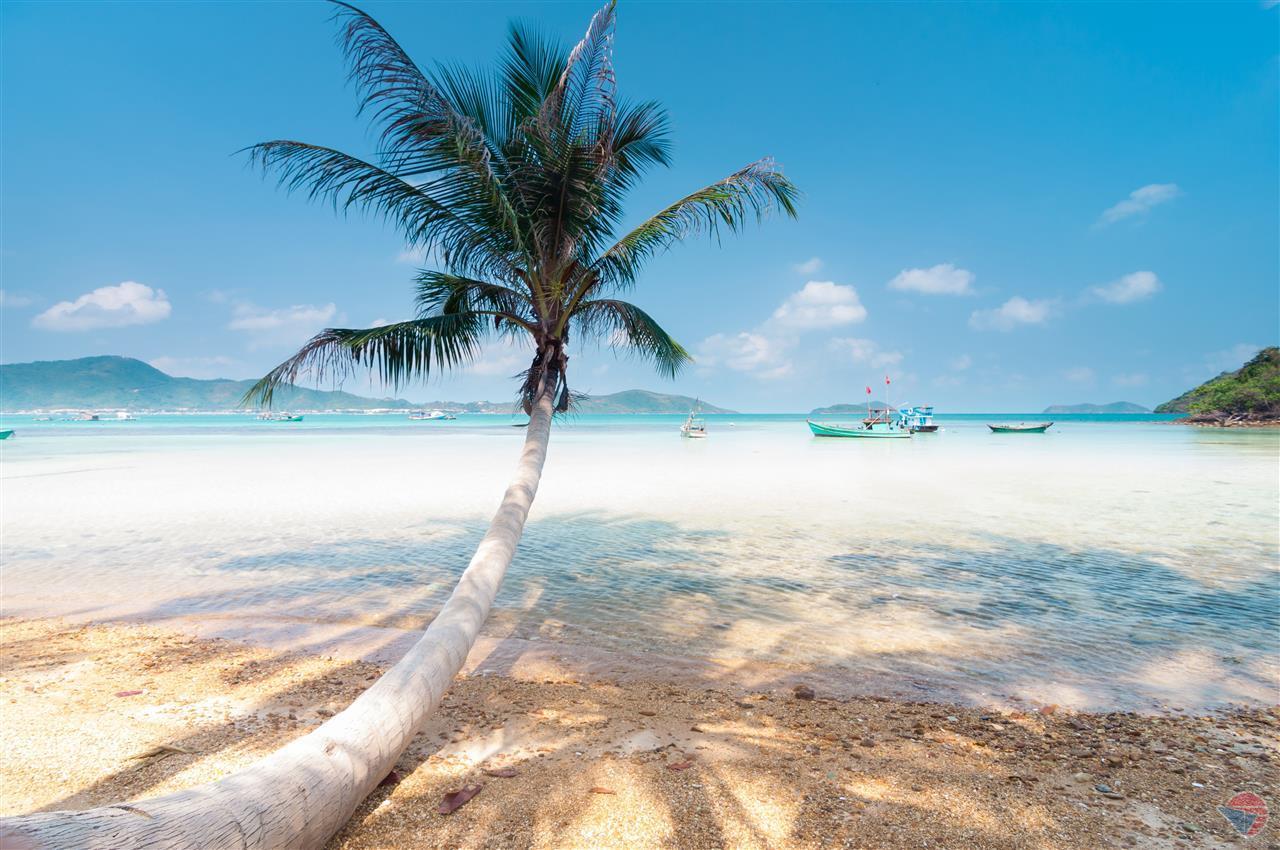 Top 5 bãi biển ở Việt Nam luôn hấp dẫn trong mùa du lịch hè - VietNamNet