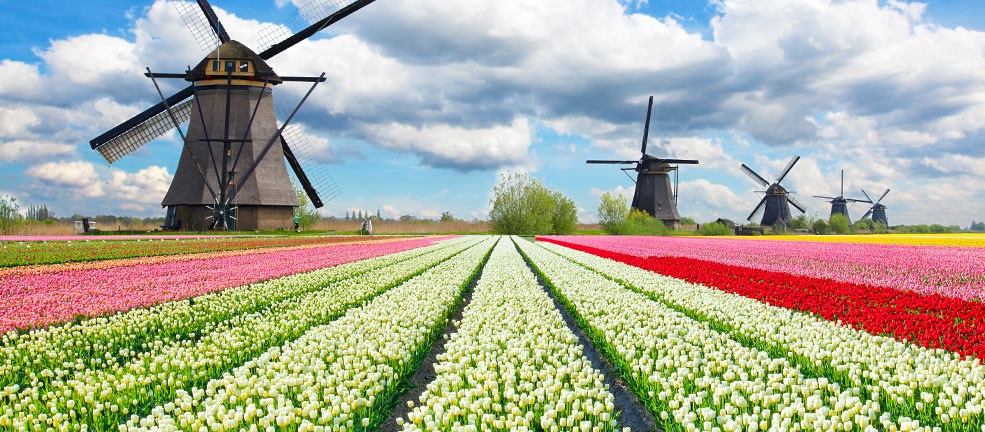 Du lịch Hà Lan những điểm du lịch hấp dẫn - cẩm nang du lịch
