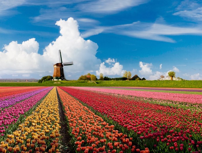 Chia sẻ kinh nghiệm du lịch Hà Lan