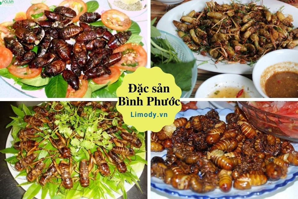 Top 20 Đặc sản Bình Phước - Đồng Xoài làm quà biếu đáng mua nhất