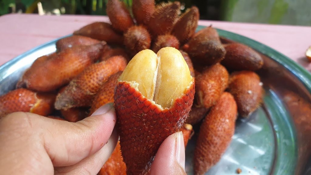 Hãy cùng tìm hiểu về loại trái cây đặc sản đất nước Indonesia