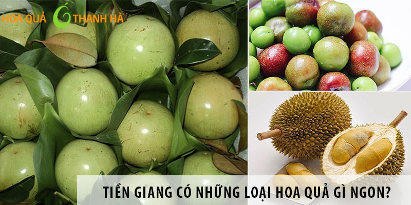 6 loại trái cây đặc sản của tỉnh Tiền Giang