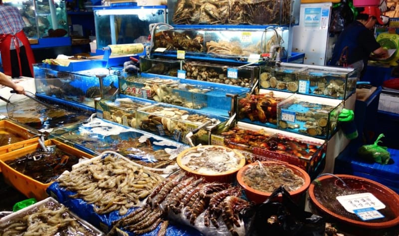 Chia sẻ hơn 85 về mô hình hải sản tươi sống - coedo.com.vn