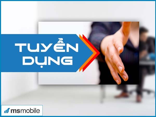 Tuyển dụng Designer tại trung tâm điện thoại xách tay chính hãng Ms Mobile