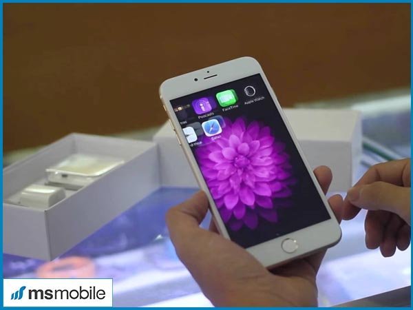 Camera trên iPhone 6, 6 Plus, 6s, 6s Plus được nâng cấp