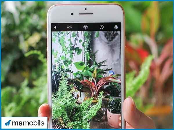 Msmobile là địa chỉ uy tín bán iPhone 7, 7 Plus cũ