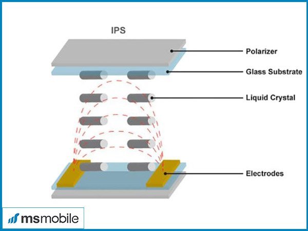 IPS LCD là gì?