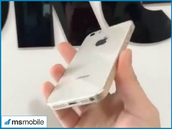 Mặt sau iPhone SE 2