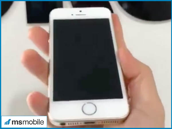 Thông tin về chiếc iPhone SE 2