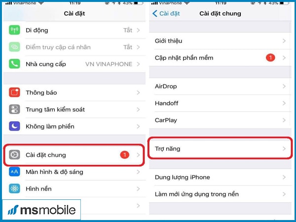 Hướng dẫn cách bật, tắt độ sáng tự động màn hình iPhone