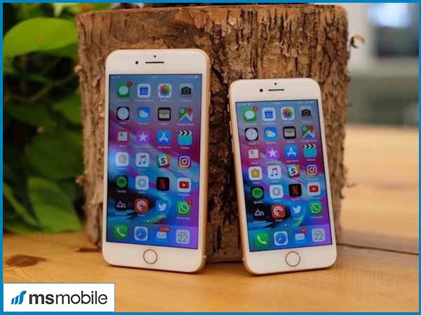 So sánh thiết kế giữa iPhone 8 và 8 Plus