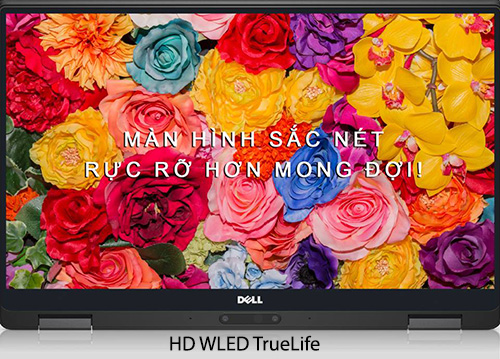 Công nghệ màn hình HD WLED TrueLife là gì?