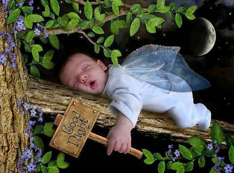 Những lời chúc ngủ ngon hài hước, lãng mạn